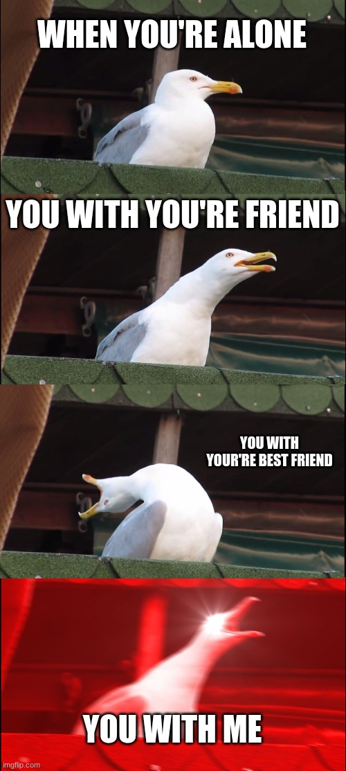 The best friend | WHEN YOU'RE ALONE; YOU WITH YOU'RE FRIEND; YOU WITH YOUR'RE BEST FRIEND; YOU WITH ME | image tagged in memes,inhaling seagull | made w/ Imgflip meme maker