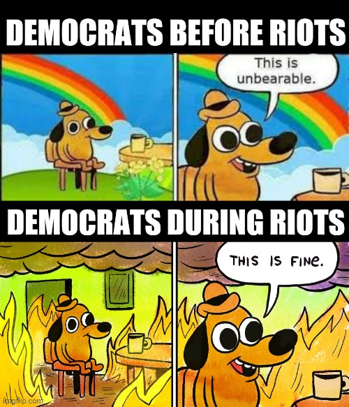 I'm bleeding, makin me the victor! | DEMOCRATS BEFORE RIOTS; DEMOCRATS DURING RIOTS | image tagged in this is fine | made w/ Imgflip meme maker