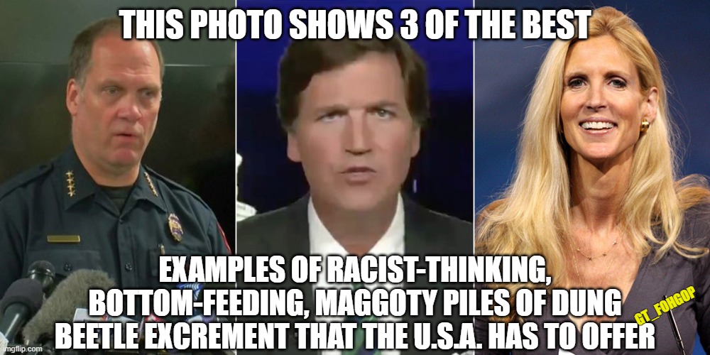 And Those Are Their Good Points | THIS PHOTO SHOWS 3 OF THE BEST; EXAMPLES OF RACIST-THINKING, BOTTOM-FEEDING, MAGGOTY PILES OF DUNG BEETLE EXCREMENT THAT THE U.S.A. HAS TO OFFER; GT_FOHGOP | image tagged in kenosha,police brutality,racist,ann coulter,foxnews,tucker carlson | made w/ Imgflip meme maker