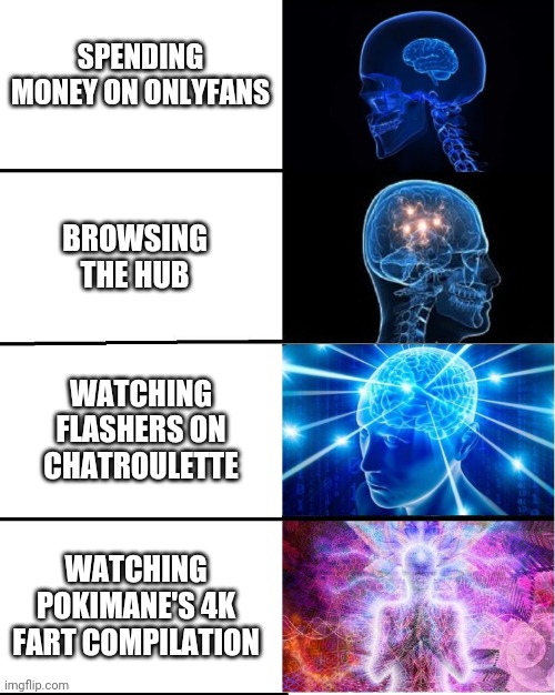 What gets you off? | SPENDING MONEY ON ONLYFANS; BROWSING THE HUB; WATCHING FLASHERS ON CHATROULETTE; WATCHING POKIMANE'S 4K FART COMPILATION | image tagged in expanding brain | made w/ Imgflip meme maker