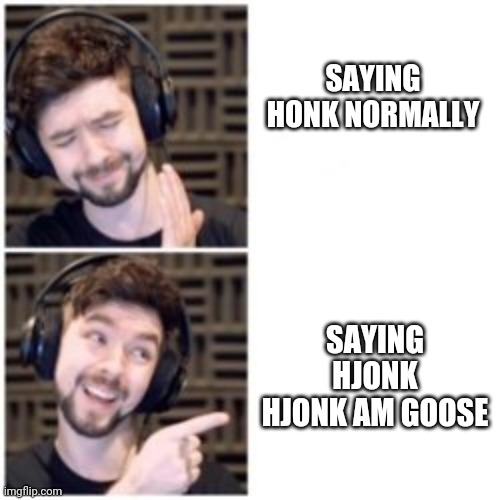 Seán in untitled goose game | SAYING HJONK HJONK AM GOOSE; SAYING HONK NORMALLY | image tagged in jacksepticeye | made w/ Imgflip meme maker