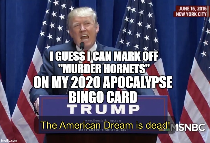 I Guess I Can Mark Off "Murder Hornets" On My 2020 Apocalypse Bingo Card | I GUESS I CAN MARK OFF
"MURDER HORNETS"; ON MY 2020 APOCALYPSE
BINGO CARD | image tagged in the american dream is dead | made w/ Imgflip meme maker