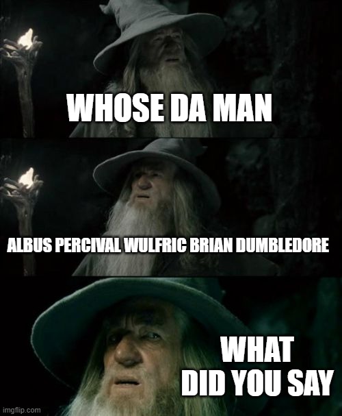 why | WHOSE DA MAN; ALBUS PERCIVAL WULFRIC BRIAN DUMBLEDORE; WHAT DID YOU SAY | image tagged in memes,confused gandalf | made w/ Imgflip meme maker