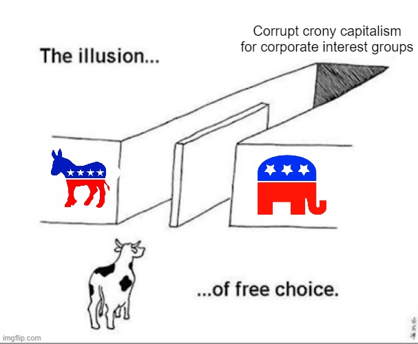Why do you keep voting for establishment politicians? | Corrupt crony capitalism for corporate interest groups | image tagged in illusion of free choice,dnc,rnc,election 2020,trump,biden | made w/ Imgflip meme maker