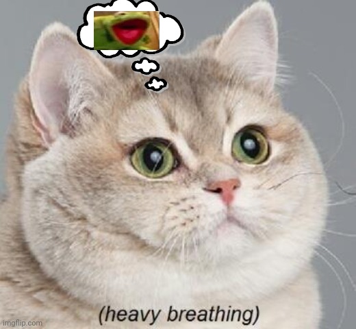 Heavy Breathing Cat | image tagged in memes,heavy breathing cat | made w/ Imgflip meme maker