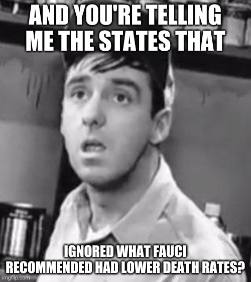 Gomer Pyle | AND YOU'RE TELLING ME THE STATES THAT IGNORED WHAT FAUCI RECOMMENDED HAD LOWER DEATH RATES? | image tagged in gomer pyle | made w/ Imgflip meme maker