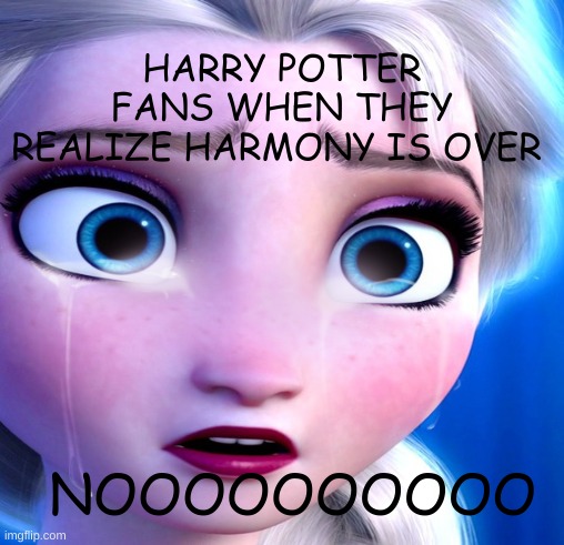 HARRY WHY OH WAIT ITS DRACO"S FAULT | HARRY POTTER FANS WHEN THEY REALIZE HARMONY IS OVER; NOOOOOOOOOO | image tagged in noooooooooooooooooooooooo | made w/ Imgflip meme maker