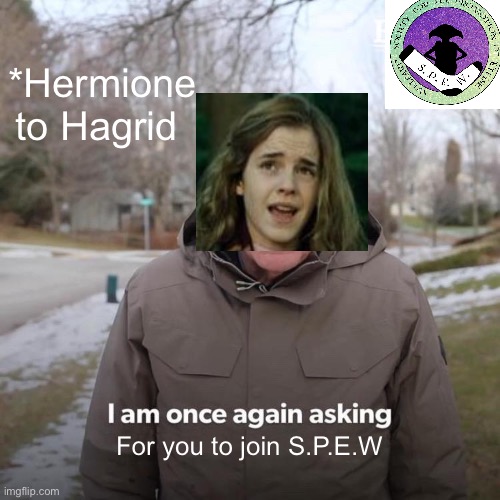 Join S.P.E.W and help support house elves...jk u don’t have to | *Hermione to Hagrid; For you to join S.P.E.W | image tagged in memes,bernie i am once again asking for your support,spew | made w/ Imgflip meme maker