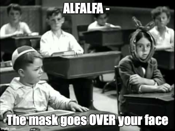 Our Gang In-School | ALFALFA -; The mask goes OVER your face | image tagged in in-person school during covid,masks in school,mask joke,covid joke,little rascals,our gang | made w/ Imgflip meme maker