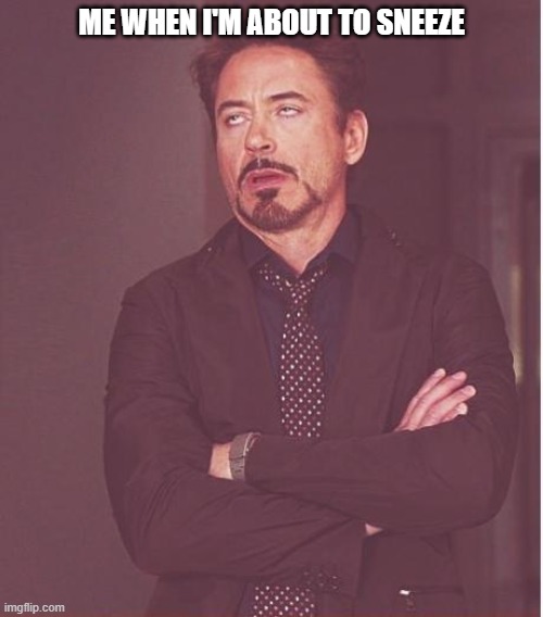 Face You Make Robert Downey Jr | ME WHEN I'M ABOUT TO SNEEZE | image tagged in memes,face you make robert downey jr | made w/ Imgflip meme maker