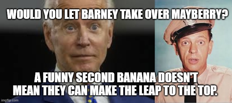Biden and Barney. Both funny second bananas. | WOULD YOU LET BARNEY TAKE OVER MAYBERRY? A FUNNY SECOND BANANA DOESN'T MEAN THEY CAN MAKE THE LEAP TO THE TOP. | image tagged in really,biden,joe biden,democrat,losers | made w/ Imgflip meme maker