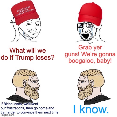 We’ll make today MAGA Wojak day I guess. [Peaceful transfer of power edition.] | image tagged in election 2020,maga,conservative logic,liberal logic,biden,trump | made w/ Imgflip meme maker