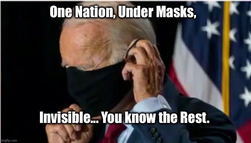 One Nation Under Masks | One Nation, Under Masks, Invisible... You know the Rest. | image tagged in joe biden,donald trump,trump derangement syndrome,coronavirus,face mask | made w/ Imgflip meme maker