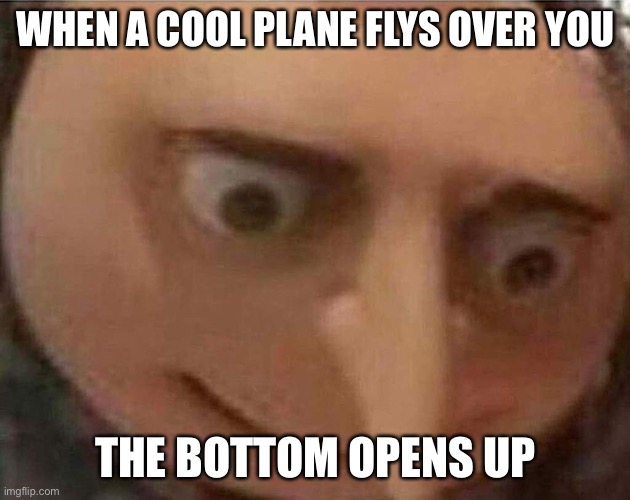 gru meme | WHEN A COOL PLANE FLYS OVER YOU; THE BOTTOM OPENS UP | image tagged in gru meme | made w/ Imgflip meme maker