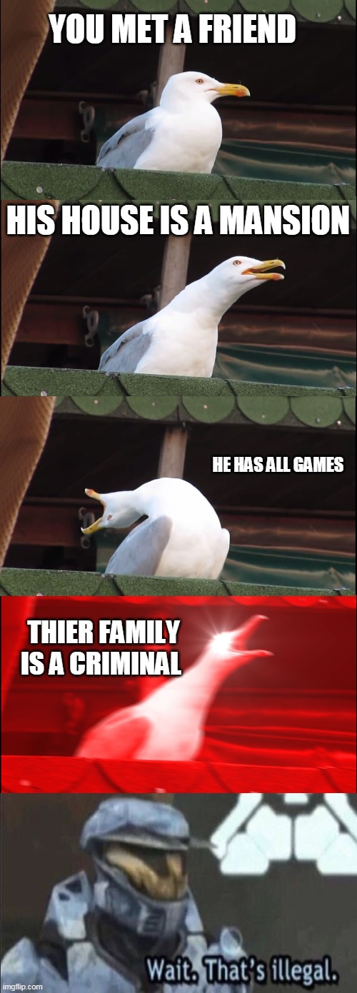 Inhaling Seagull | YOU MET A FRIEND; HIS HOUSE IS A MANSION; HE HAS ALL GAMES; THIER FAMILY IS A CRIMINAL | image tagged in memes,inhaling seagull | made w/ Imgflip meme maker