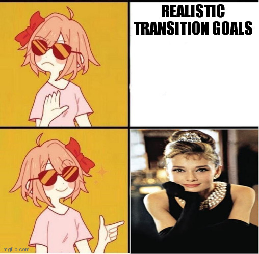 Egg_irl | REALISTIC TRANSITION GOALS | image tagged in egg_irl,egg_irl | made w/ Imgflip meme maker