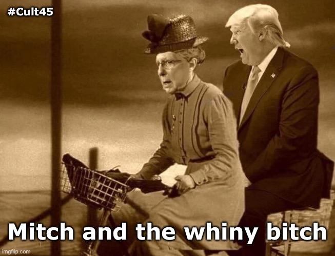 Moscow Mitch | #Cult45; Mitch and the whiny bitch | image tagged in moscow mitch,trump | made w/ Imgflip meme maker