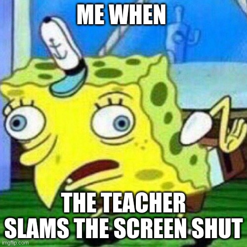 Bruhhhhhhhhhhh | ME WHEN; THE TEACHER SLAMS THE SCREEN SHUT | image tagged in triggerpaul,bruhh | made w/ Imgflip meme maker