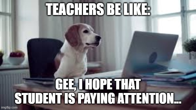 Distance Learning | TEACHERS BE LIKE:; GEE, I HOPE THAT STUDENT IS PAYING ATTENTION... | image tagged in zoom | made w/ Imgflip meme maker