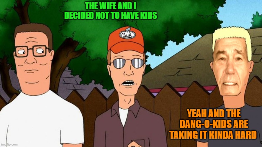 just being silly | THE WIFE AND I DECIDED NOT TO HAVE KIDS; YEAH AND THE DANG-O-KIDS ARE TAKING IT KINDA HARD | image tagged in kids,lewhaugher | made w/ Imgflip meme maker