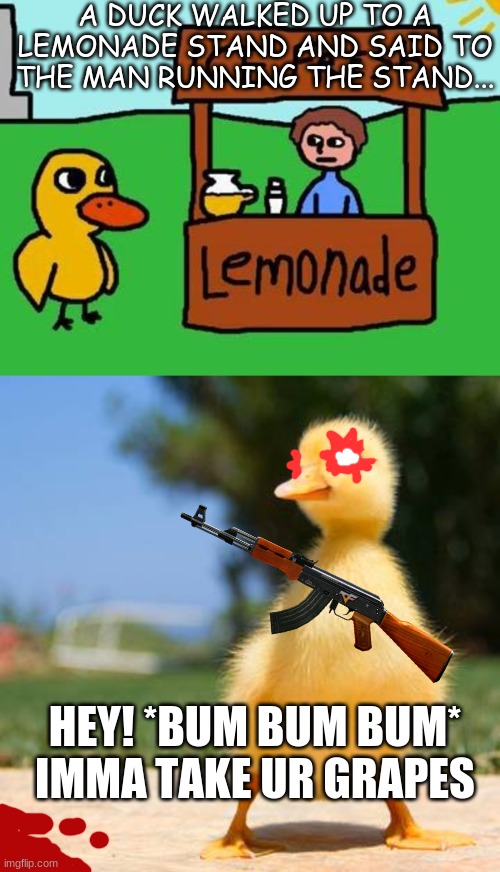 A DUCK WALKED UP TO A LEMONADE STAND AND SAID TO THE MAN RUNNING THE STAND... HEY! *BUM BUM BUM* IMMA TAKE UR GRAPES | image tagged in the duck song | made w/ Imgflip meme maker