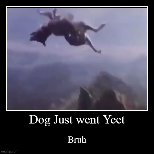 dog yeet bruh | image tagged in funny,demotivationals | made w/ Imgflip demotivational maker