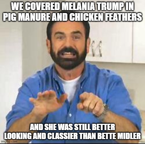 But wait, there's more! We gave her brain trauma and she's still smarter too! | WE COVERED MELANIA TRUMP IN PIG MANURE AND CHICKEN FEATHERS; AND SHE WAS STILL BETTER LOOKING AND CLASSIER THAN BETTE MIDLER | image tagged in but wait there's more,melania trump,funny memes,politics,liberal hypocrisy,xenophobia | made w/ Imgflip meme maker