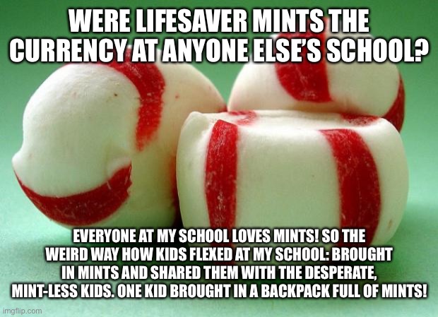 Is my school the only weird one? | WERE LIFESAVER MINTS THE CURRENCY AT ANYONE ELSE’S SCHOOL? EVERYONE AT MY SCHOOL LOVES MINTS! SO THE WEIRD WAY HOW KIDS FLEXED AT MY SCHOOL: BROUGHT IN MINTS AND SHARED THEM WITH THE DESPERATE, MINT-LESS KIDS. ONE KID BROUGHT IN A BACKPACK FULL OF MINTS! | image tagged in mints,lifesaver mints,school | made w/ Imgflip meme maker