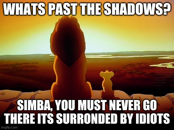 Lion King Meme | WHATS PAST THE SHADOWS? SIMBA, YOU MUST NEVER GO THERE ITS SURRONDED BY IDIOTS | image tagged in memes,lion king | made w/ Imgflip meme maker