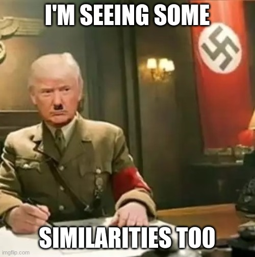 Donald Trump Hitler | I'M SEEING SOME SIMILARITIES TO0 | image tagged in donald trump hitler | made w/ Imgflip meme maker
