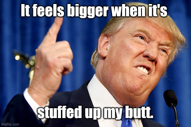 Donald Trump | It feels bigger when it's stuffed up my butt. | image tagged in donald trump | made w/ Imgflip meme maker