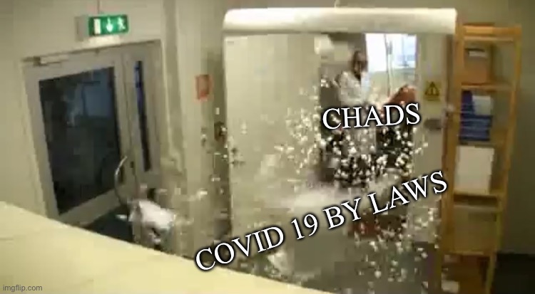 Covid 19 | CHADS; COVID 19 BY LAWS | image tagged in covid-19 | made w/ Imgflip meme maker