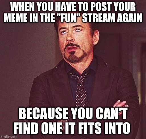 Yes, I posted this in the fun stream too | WHEN YOU HAVE TO POST YOUR MEME IN THE "FUN" STREAM AGAIN; BECAUSE YOU CAN'T FIND ONE IT FITS INTO | image tagged in robert downey jr annoyed | made w/ Imgflip meme maker