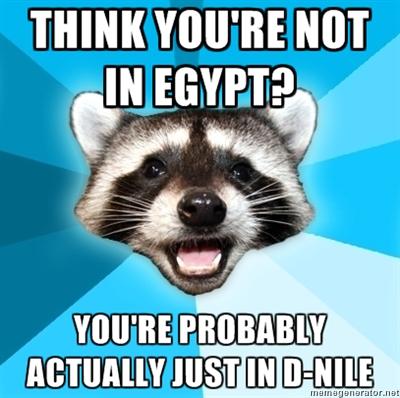 Lame Pun Coon Meme | image tagged in memes,lame pun coon