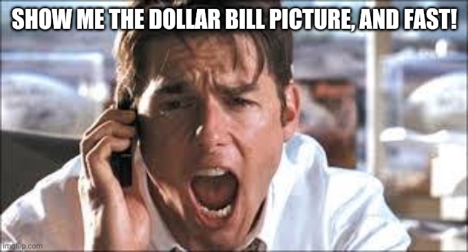 Show me the money | SHOW ME THE DOLLAR BILL PICTURE, AND FAST! | image tagged in show me the money | made w/ Imgflip meme maker