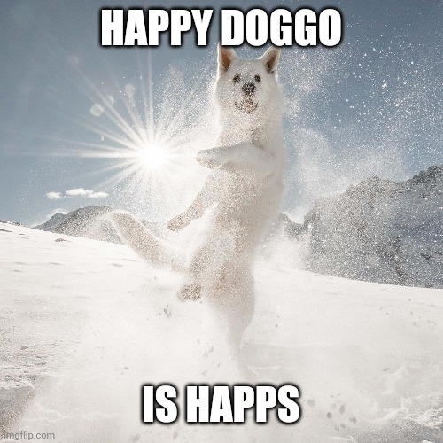 Happy Doggo | HAPPY DOGGO IS HAPPS | image tagged in happy doggo | made w/ Imgflip meme maker
