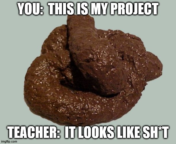 YOU:  THIS IS MY PROJECT; TEACHER:  IT LOOKS LIKE SH*T | image tagged in poop | made w/ Imgflip meme maker