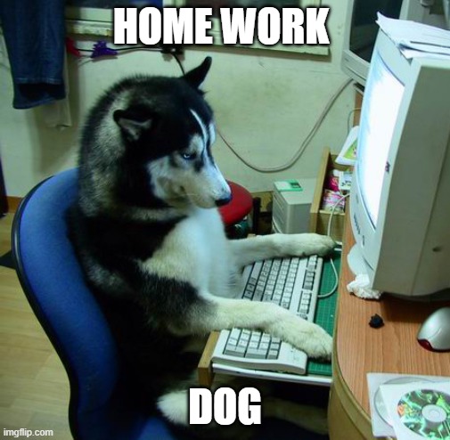 I Have No Idea What I Am Doing Meme | HOME WORK; DOG | image tagged in memes,i have no idea what i am doing | made w/ Imgflip meme maker
