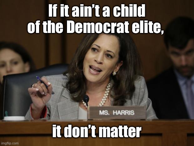 Kamala Harris | If it ain’t a child of the Democrat elite, it don’t matter | image tagged in kamala harris | made w/ Imgflip meme maker