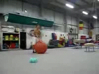 Haters Gonna hate | image tagged in gifs | made w/ Imgflip video-to-gif maker