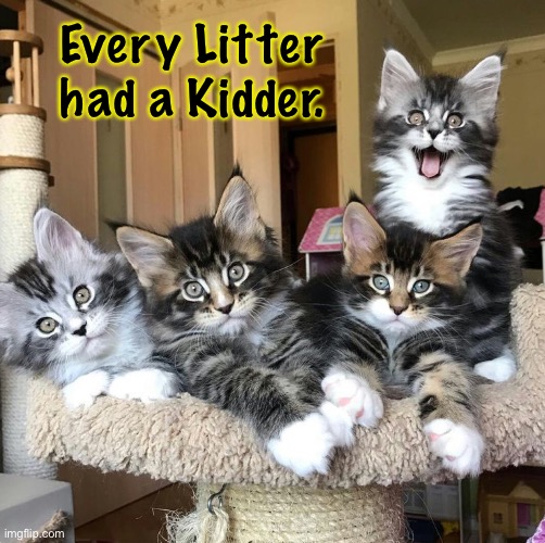 Every Litter had a Kidder. | made w/ Imgflip meme maker