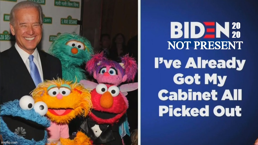 Hey there bunker bitches I've picked my team. They represent people of color in case your wondering why i picked them. | 20 20; NOT PRESENT | image tagged in biden 2020,biden muppets picked,biden pedophile,the original bunker bitch,near 5 decades of nothing | made w/ Imgflip meme maker