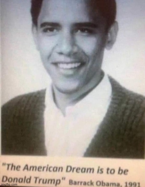 Obama said to vote for Donald Trump. | image tagged in donald trump,election 2020 | made w/ Imgflip meme maker