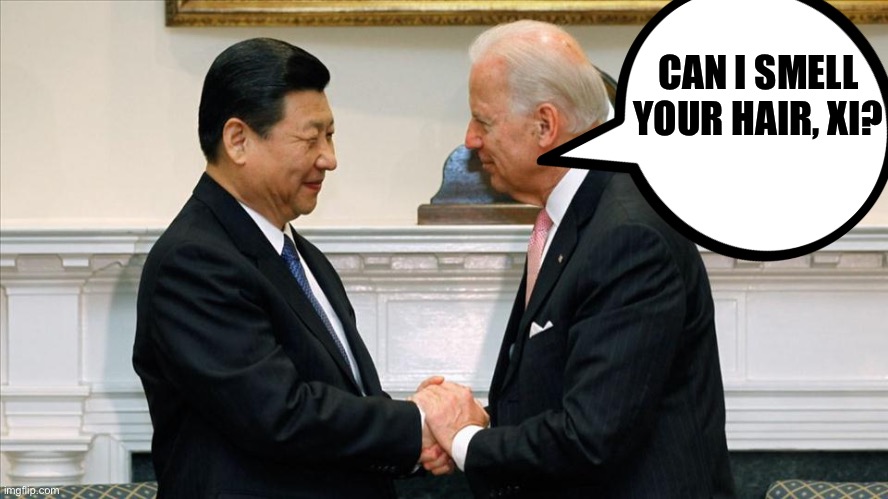 CAN I SMELL YOUR HAIR, XI? | made w/ Imgflip meme maker