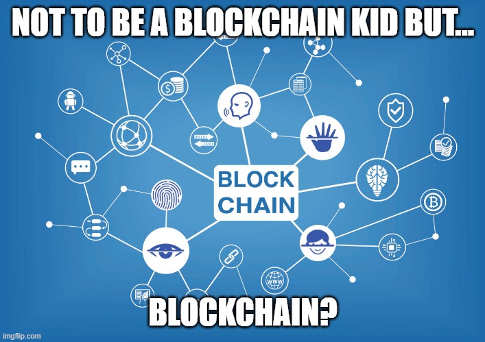 Blockchain Perth | NOT TO BE A BLOCKCHAIN KID BUT... BLOCKCHAIN? | image tagged in blockchain perth | made w/ Imgflip meme maker