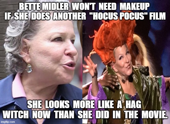 Bette Midler | BETTE MIDLER  WON'T  NEED  MAKEUP  IF  SHE  DOES  ANOTHER  "HOCUS POCUS" FILM; SHE  LOOKS  MORE  LIKE  A  HAG  WITCH  NOW  THAN  SHE  DID  IN  THE  MOVIE. | image tagged in lefty,hag | made w/ Imgflip meme maker