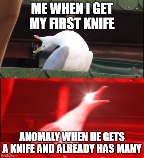 Screaming bird | ME WHEN I GET MY FIRST KNIFE; ANOMALY WHEN HE GETS A KNIFE AND ALREADY HAS MANY | image tagged in screaming bird,csgo | made w/ Imgflip meme maker