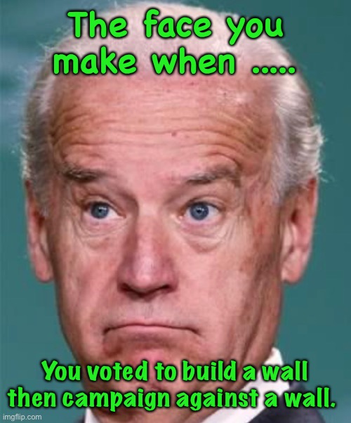 Well technically he was on the fence | The face you make when ..... You voted to build a wall then campaign against a wall. | image tagged in joe biden,wall,politics,that face you make | made w/ Imgflip meme maker