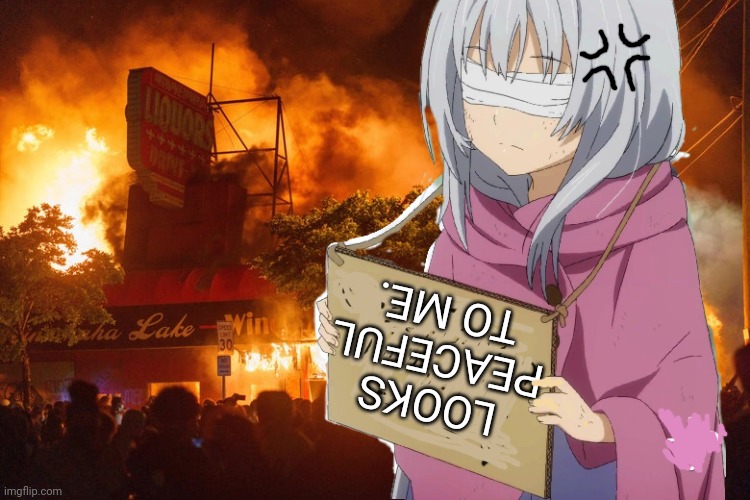 Peaceful protests | LOOKS PEACEFUL TO ME. | image tagged in signs,blind,anime girl,protest | made w/ Imgflip meme maker