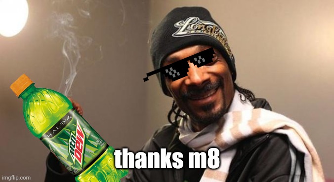 Snoop Dogg | thanks m8 | image tagged in snoop dogg | made w/ Imgflip meme maker